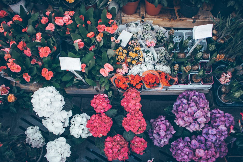 A vibrant display of various flowering plants and bouquets at Beckenham High Street florists, including pink, white, and purple hydrangeas arranged in clusters on a black crate, with orange and white 
