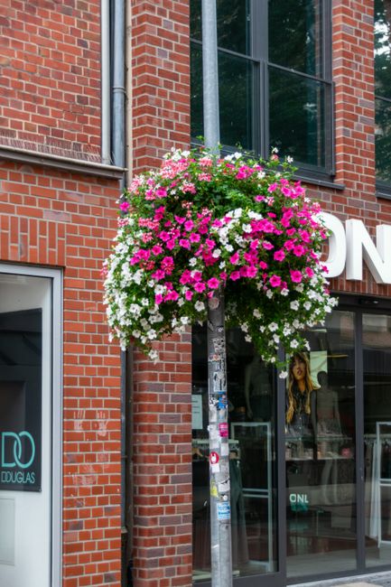 A vibrant hanging flower basket mounted on a metal pole outside a brick building, featuring a dense arrangement of pink, white, and purple petunias and trailing plants, creating a lush and colorful fl
